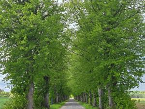 Domek Maryja z prywatnym duzym jacuzzi i sauna Przystan pod niebem