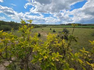 Domek Maryja z prywatnym duzym jacuzzi i sauna Przystan pod niebem