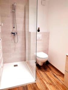 Appartements 1 Liberte - TRIPLEX : photos des chambres