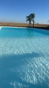 Agriturismo La Crianza