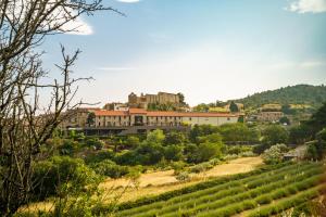 Maisons de vacances Cote Grange a Belesta : photos des chambres