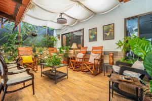 Tiburon Galano - Playa Carrillo