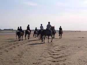 Appartements Appartement de charme a 250m de la plage : photos des chambres