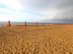 Appartements Appartement de charme a 250m de la plage : photos des chambres