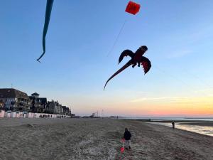 Appartements Appartement de charme a 250m de la plage : photos des chambres