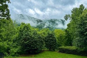 Cant Bear to Leave Mountain House