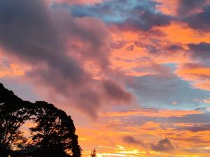 Mi Casa Su Casa Monteverde