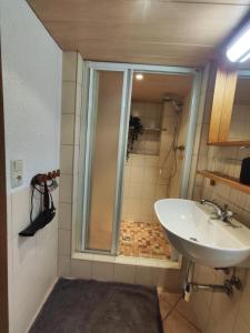 ansimali 2 - Apartment mit Wohn- und Schlafraum, integrierter Küchenzeile, separater Dusche und WC - ideal für Alleinreisende und Monteure am Spiegelwald
