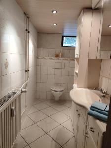 ansimali 2 - Apartment mit Wohn- und Schlafraum, integrierter Küchenzeile, separater Dusche und WC - ideal für Alleinreisende und Monteure am Spiegelwald