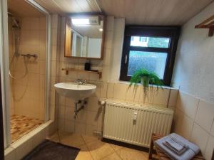 ansimali 2 - Apartment mit Wohn- und Schlafraum, integrierter Küchenzeile, separater Dusche und WC - ideal für Alleinreisende und Monteure am Spiegelwald