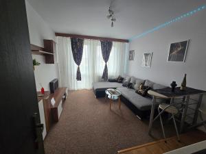 Garsónka v TN
