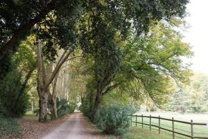 Domaine Du Castellas