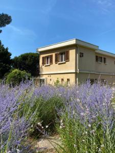 Maison de Famille à la Plage