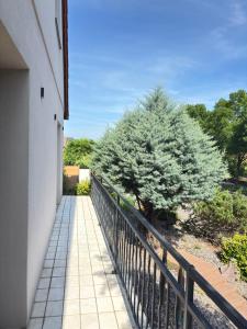 Maisons de vacances Soh Rent Villa Piscine Proche Strasbourg TV - Wifi - Parking : photos des chambres