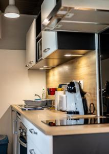 Appartements Agreable studio sous les toits - Parking - WiFi : photos des chambres