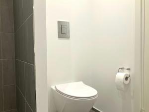 Spacious Apartment for 3