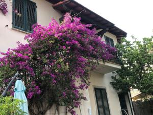 Tramonto Mediterraneo casa con piscina