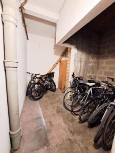 Appartements Les Amoureux - T2 hyper centre ville, 100m plage, tout a pied, WIFI : Appartement 1 Chambre