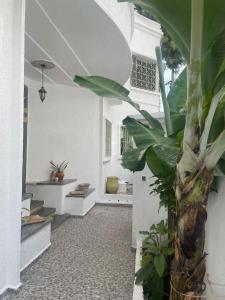 Syrah Home