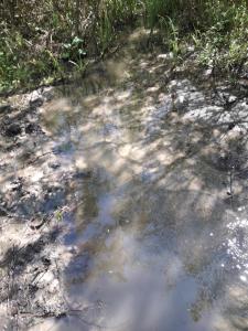 glampling namiot przy podeście