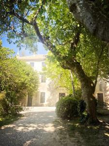 Domaine Daulone plein sud