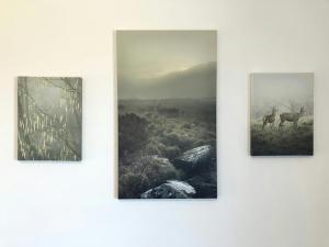 Spacious Apartment for 3