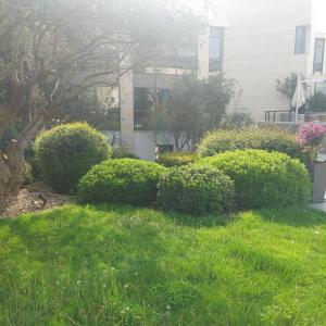 Small budget studio center