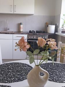 Saulės miesto apartamentai