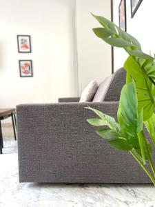 Super studio Carré dOr-2 people-Nice