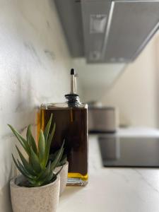 Super studio Carré dOr-2 people-Nice