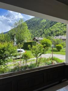 Le Petit Mont Blanc - Appartamento Alpino
