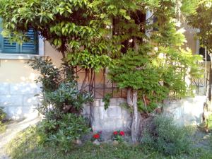 Beach City Pearls Apartments 