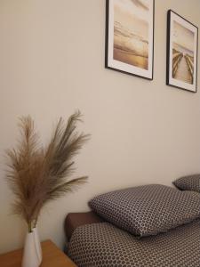 Saulės miesto apartamentai