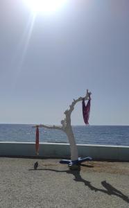 Alkinoi studio suita in South Crete Tsoutsouros