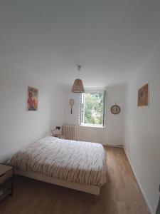 Appartements Superbe 4 pieces a 2 pas de la mer et du marche : photos des chambres