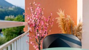 Appartements Le Beauregard - Jacuzzi - Garage : photos des chambres