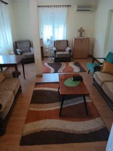 Radovici Family House