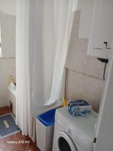 Radovici Family House