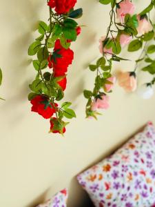 La Fougeraise - Plein centre, Baby-foot, 6 pers