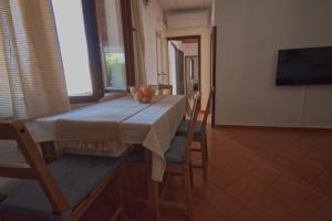 Apartment Poli šterne, two rooms and pet friendly