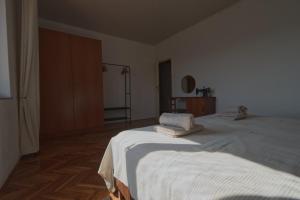 Apartment Poli šterne, two rooms and pet friendly