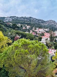 Appartements Azure Horizons Seaside Escape : photos des chambres