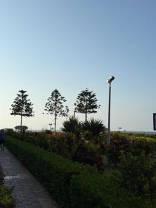 Ground chalet 2-bedroom with beach access and AC