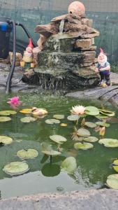 Cabanutele La Denisa