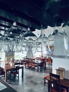 Holbina Trei Bibani - Delta Dunarii