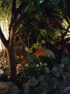 Maisons de vacances andibru : photos des chambres