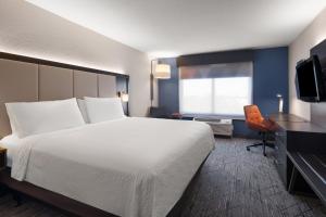 Standard King Room room in Holiday Inn Express St. Petersburg North / I-275 an IHG Hotel