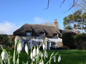 3 Bed in East Chaldon DC008