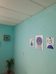 Coastal Nature Haven - Veracruz