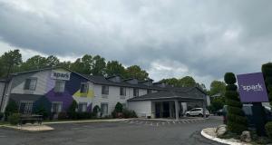 Spark by Hilton Guilford